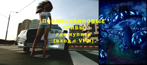 соль ск Навашино