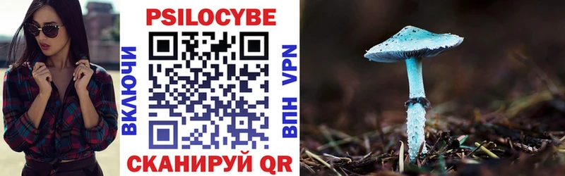 Псилоцибиновые грибы Psilocybe  Димитровград 