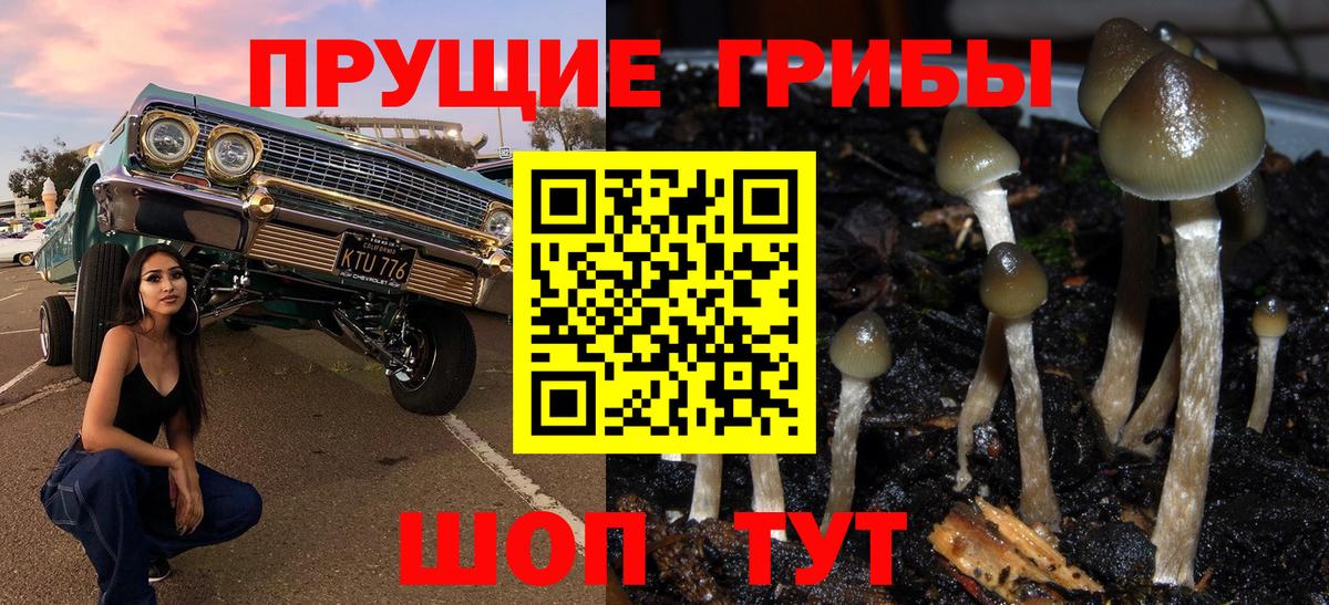 Галлюциногенные грибы MAGIC MUSHROOMS Димитровград