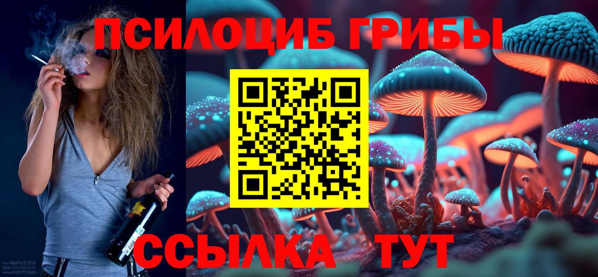 Галлюциногенные грибы Cubensis  Димитровград 