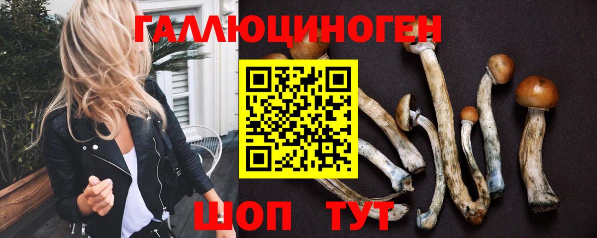 Галлюциногенные грибы MAGIC MUSHROOMS Димитровград