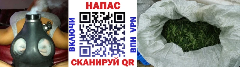 дарнет шоп  Димитровград  Бошки марихуана White Widow 