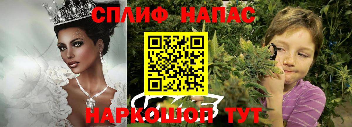 Конопля семена  Димитровград  Бошки Шишки SATIVA & INDICA 